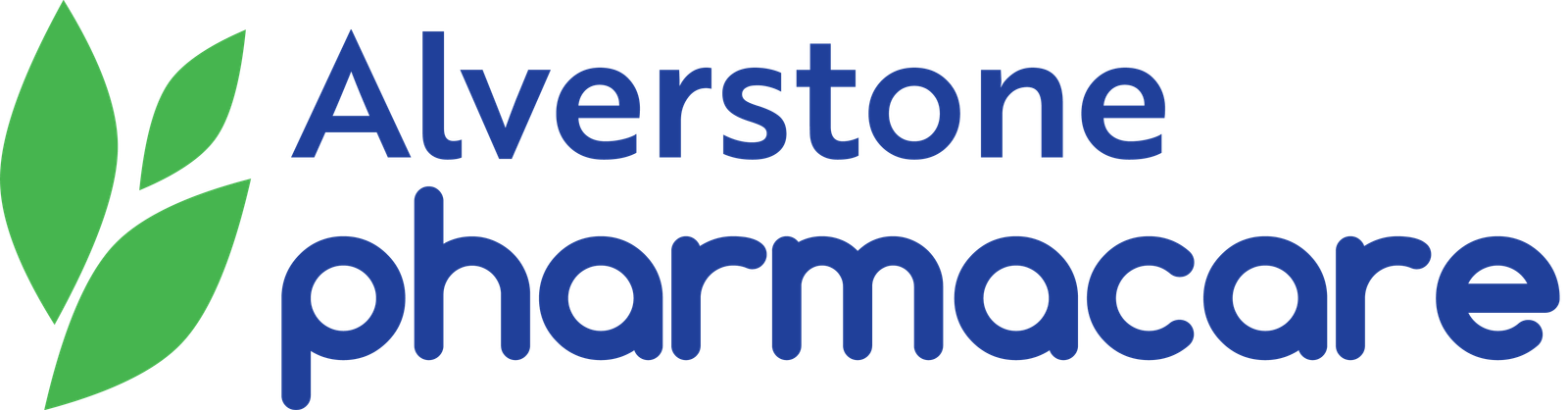 Logo 4